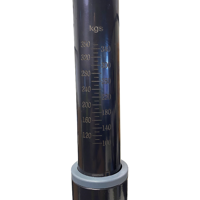COAST RV Tow-Ball Scale | 350KG | Black
