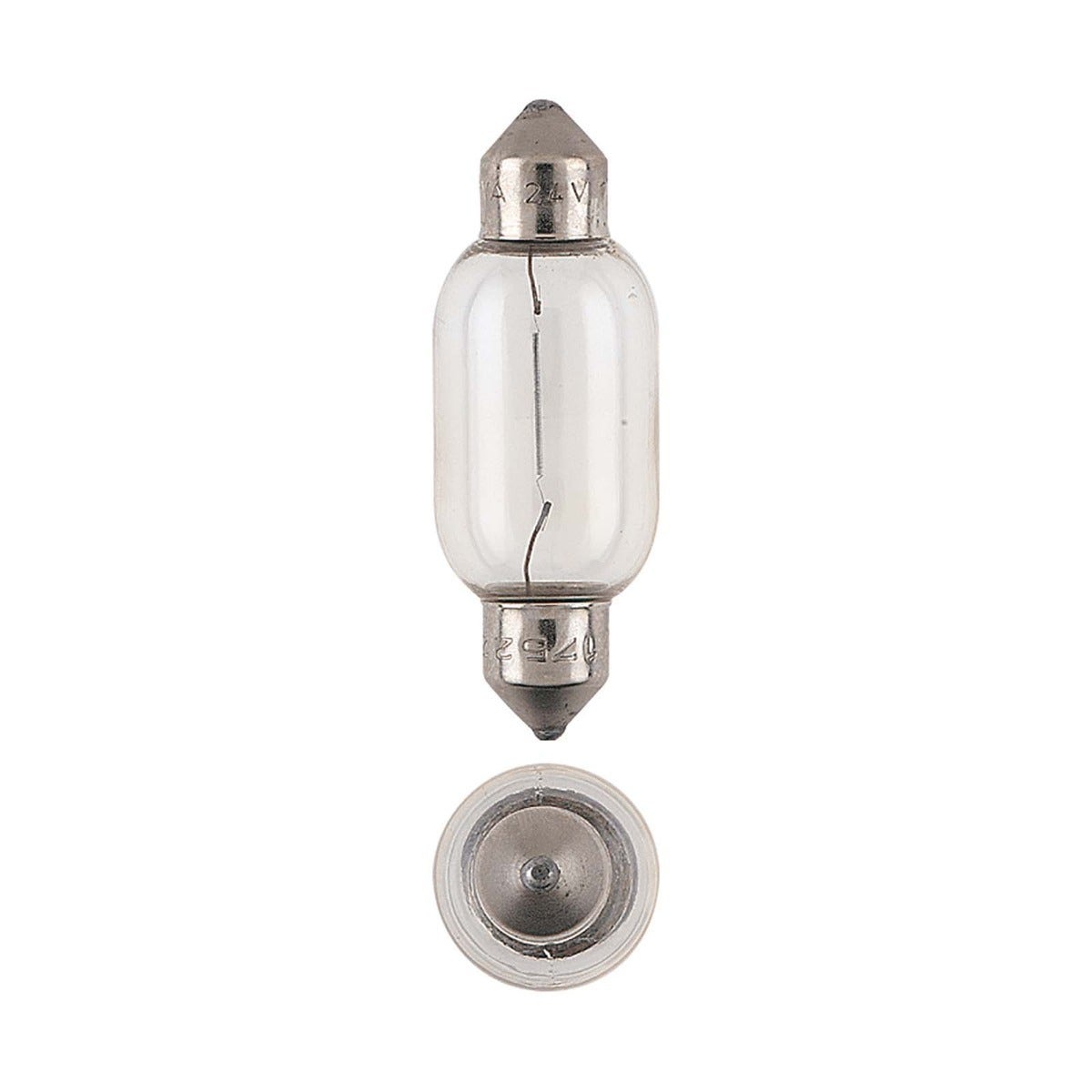 Festoon Globe - 12V 18W