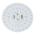 60 LED Round Replacement Globe