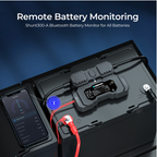 RENOGY CORE | Battery Shunt 300 (AU MODEL).