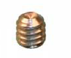 Carefree Screw 1/4" 20UNC x 1/4" LG S/Steel